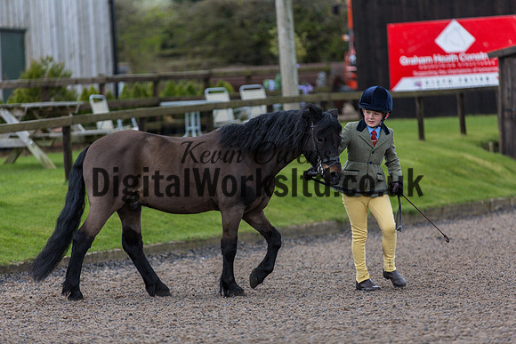 BDH-Point-to-Point-34