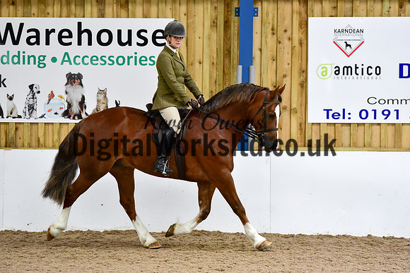 NECWPCA-SUMMER-WELSH-SILVER-MEDAL-SHOW (211 of 325)