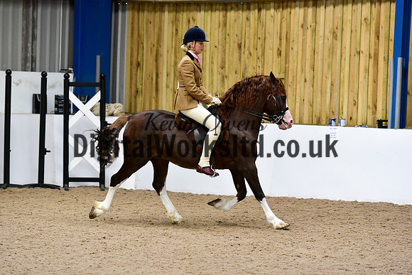 NECWPCA-SUMMER-WELSH-SILVER-MEDAL-SHOW (33 of 92)