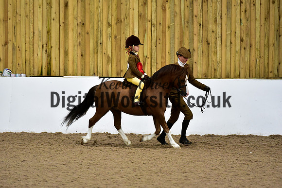 NECWPCA-SUMMER-WELSH-SILVER-MEDAL-SHOW (76 of 92)