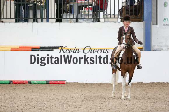 NECWPCA-SUMMER-WELSH-SILVER-MEDAL-SHOW (77 of 419)