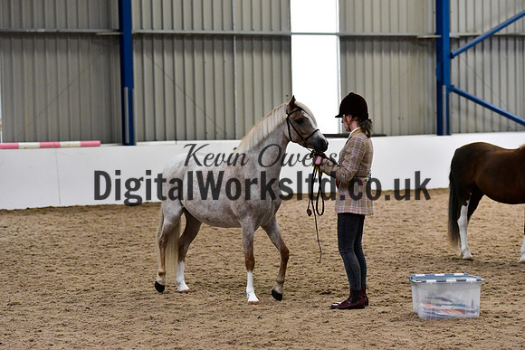 NECWPCA-SUMMER-WELSH-SILVER-MEDAL-SHOW (35 of 61)