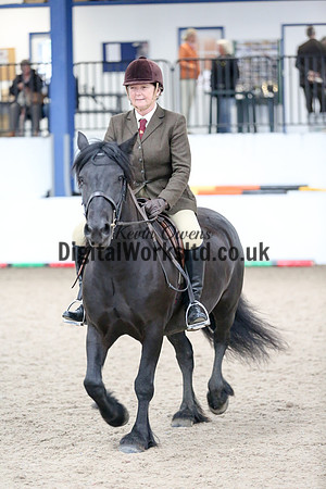 NECWPCA-SUMMER-WELSH-SILVER-MEDAL-SHOW (40 of 419)