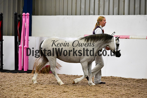 NECWPCA-SUMMER-WELSH-SILVER-MEDAL-SHOW (56 of 427)