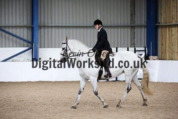 NECWPCA-SUMMER-WELSH-SILVER-MEDAL-SHOW (33 of 315)