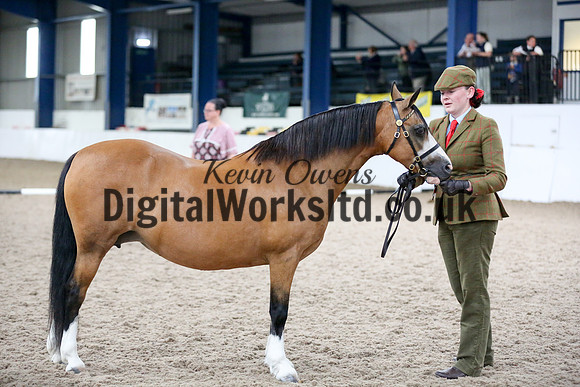 NECWPCA-SUMMER-WELSH-SILVER-MEDAL-SHOW (58 of 427)