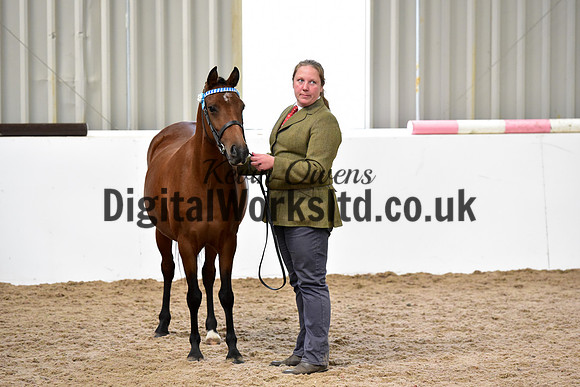 NECWPCA-SUMMER-WELSH-SILVER-MEDAL-SHOW (3 of 104)