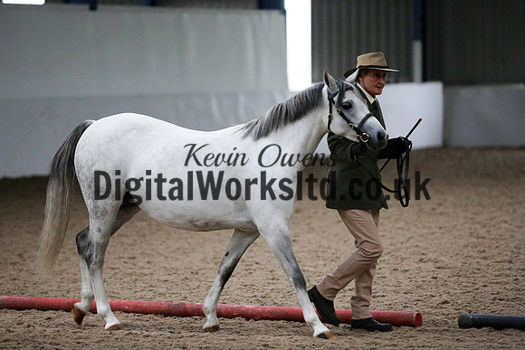 NECWPCA-SUMMER-WELSH-SILVER-MEDAL-SHOW (10 of 427)