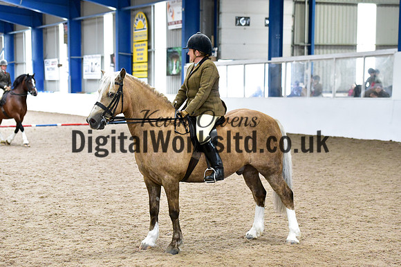 NECWPCA-SUMMER-WELSH-SILVER-MEDAL-SHOW (156 of 325)