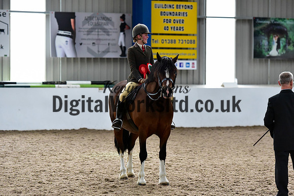 NECWPCA-SUMMER-WELSH-SILVER-MEDAL-SHOW (92 of 92)