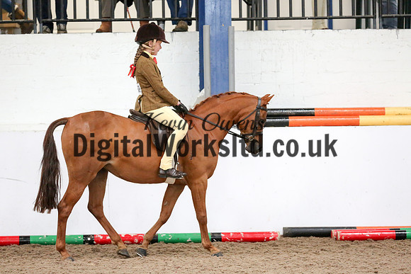NECWPCA-SUMMER-WELSH-SILVER-MEDAL-SHOW (9 of 334)