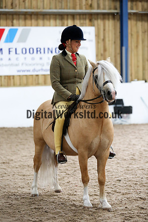 NECWPCA-SUMMER-WELSH-SILVER-MEDAL-SHOW (206 of 315)