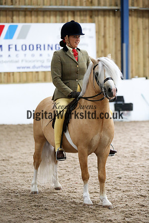 NECWPCA-SUMMER-WELSH-SILVER-MEDAL-SHOW (207 of 315)