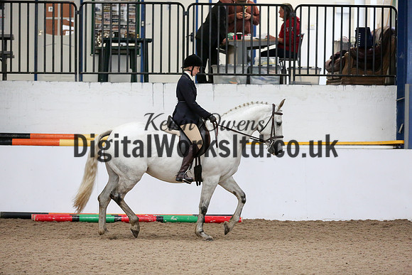NECWPCA-SUMMER-WELSH-SILVER-MEDAL-SHOW (26 of 315)