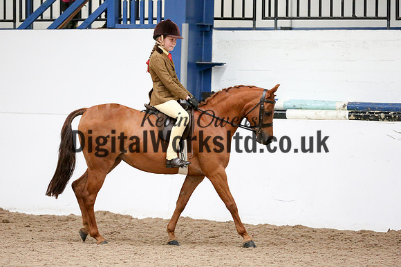 NECWPCA-SUMMER-WELSH-SILVER-MEDAL-SHOW (90 of 419)