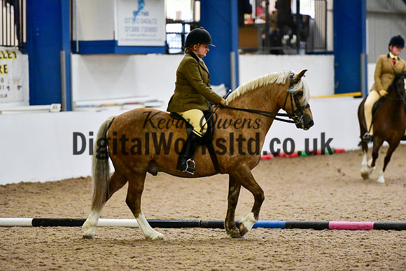 NECWPCA-SUMMER-WELSH-SILVER-MEDAL-SHOW (12 of 325)