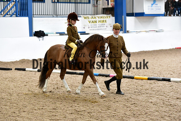 NECWPCA-SUMMER-WELSH-SILVER-MEDAL-SHOW (12 of 120)