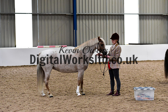 NECWPCA-SUMMER-WELSH-SILVER-MEDAL-SHOW (37 of 61)