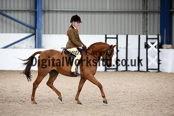 NECWPCA-SUMMER-WELSH-SILVER-MEDAL-SHOW (9 of 315)