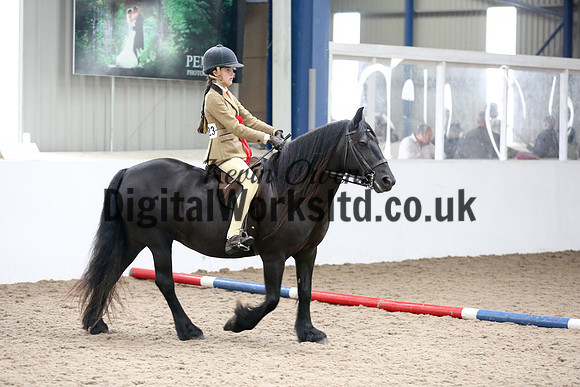 NECWPCA-SUMMER-WELSH-SILVER-MEDAL-SHOW (95 of 315)