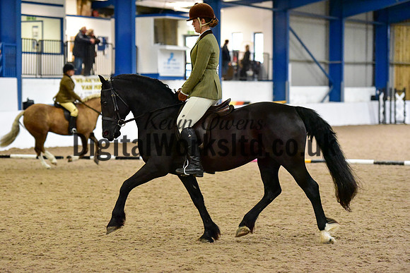 NECWPCA-SUMMER-WELSH-SILVER-MEDAL-SHOW (27 of 325)