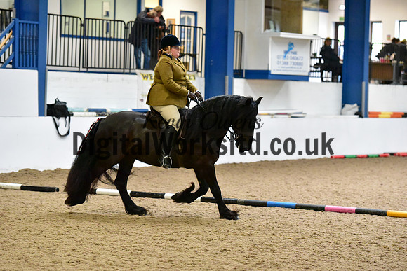 NECWPCA-SUMMER-WELSH-SILVER-MEDAL-SHOW (138 of 325)