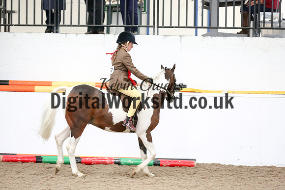 NECWPCA-SUMMER-WELSH-SILVER-MEDAL-SHOW (113 of 315)