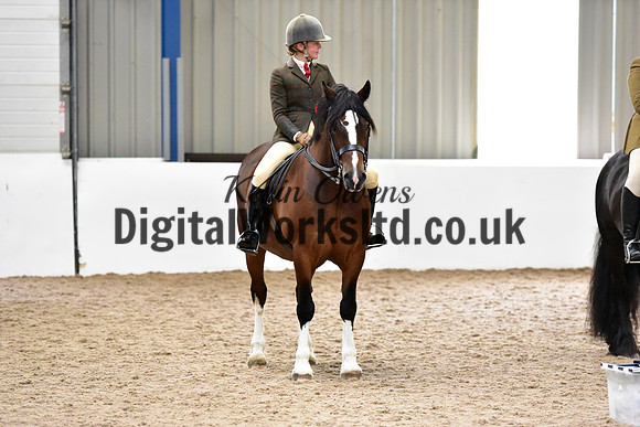 NECWPCA-SUMMER-WELSH-SILVER-MEDAL-SHOW (158 of 325)