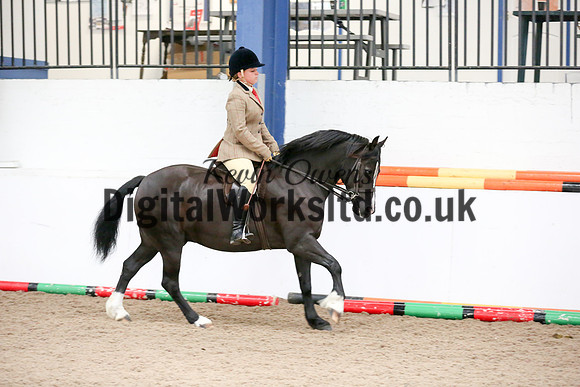 NECWPCA-SUMMER-WELSH-SILVER-MEDAL-SHOW (263 of 315)