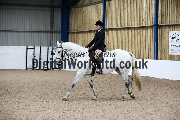 NECWPCA-SUMMER-WELSH-SILVER-MEDAL-SHOW (68 of 315)