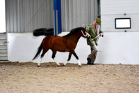 NECWPCA-SUMMER-WELSH-SILVER-MEDAL-SHOW (20 of 412)