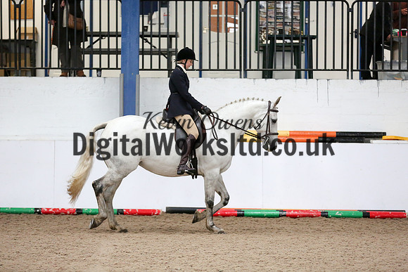 NECWPCA-SUMMER-WELSH-SILVER-MEDAL-SHOW (23 of 315)