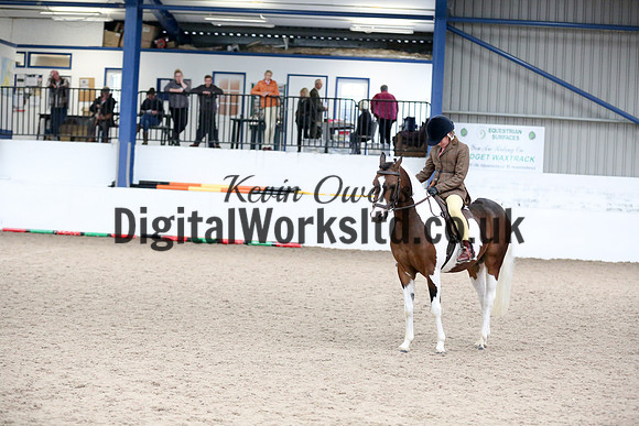 NECWPCA-SUMMER-WELSH-SILVER-MEDAL-SHOW (118 of 120)