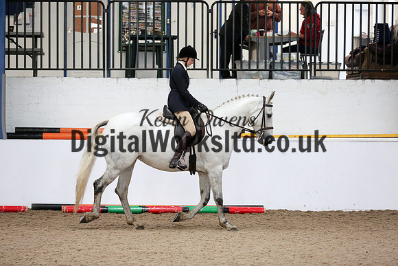 NECWPCA-SUMMER-WELSH-SILVER-MEDAL-SHOW (25 of 315)