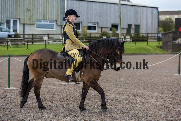 BDH-Point-to-Point-12