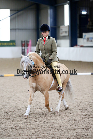 NECWPCA-SUMMER-WELSH-SILVER-MEDAL-SHOW (191 of 315)