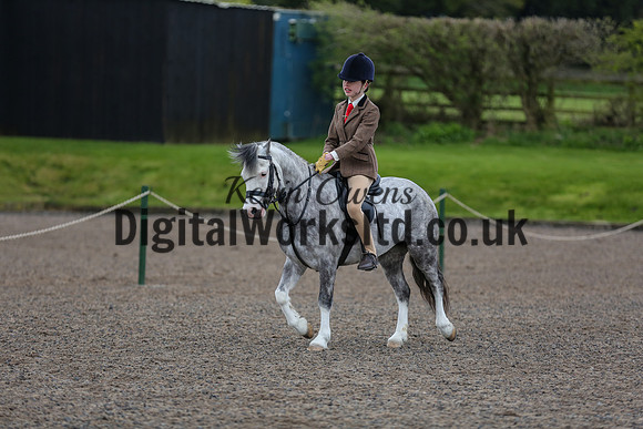 BDH-Point-to-Point-180