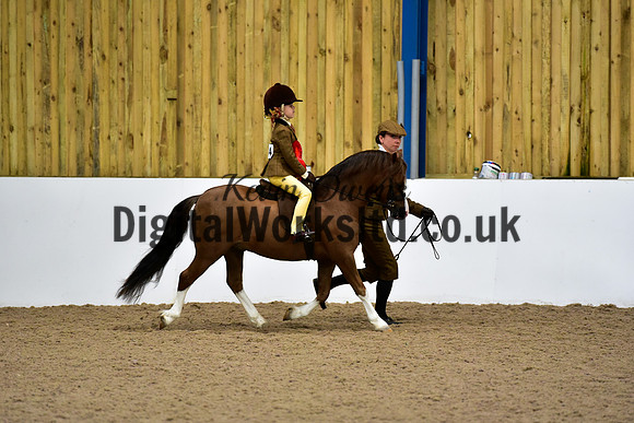NECWPCA-SUMMER-WELSH-SILVER-MEDAL-SHOW (75 of 92)