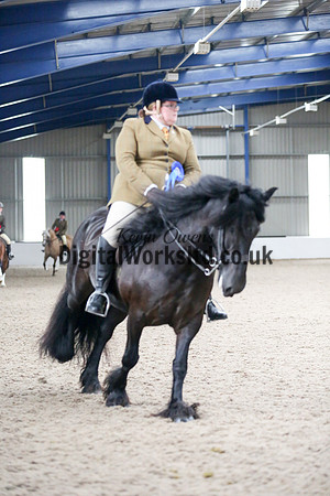 NECWPCA-SUMMER-WELSH-SILVER-MEDAL-SHOW (182 of 325)
