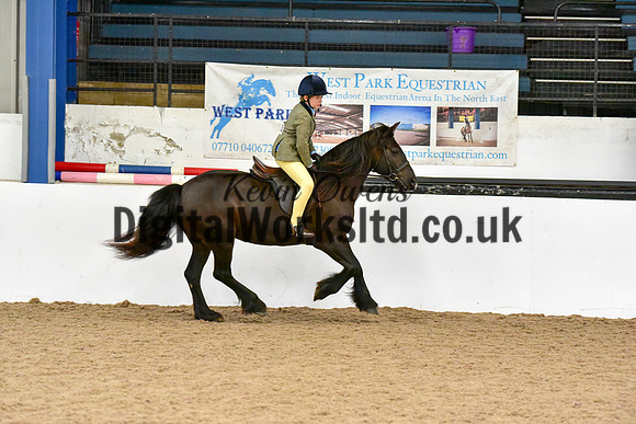 NECWPCA-SUMMER-WELSH-SILVER-MEDAL-SHOW (66 of 419)