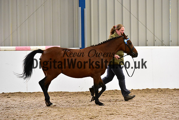 NECWPCA-SUMMER-WELSH-SILVER-MEDAL-SHOW (43 of 150)