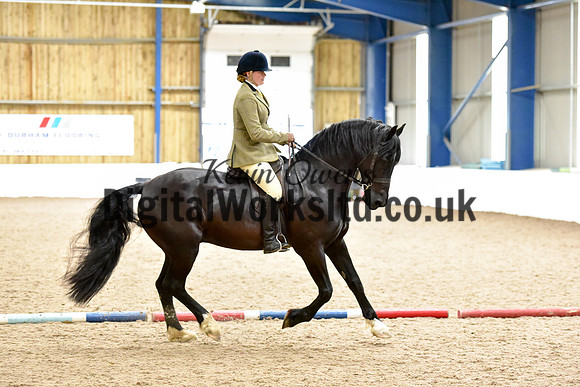 NECWPCA-SUMMER-WELSH-SILVER-MEDAL-SHOW (171 of 315)