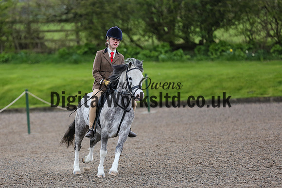 BDH-Point-to-Point-177