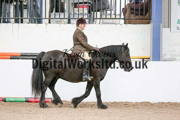 NECWPCA-SUMMER-WELSH-SILVER-MEDAL-SHOW (2 of 334)
