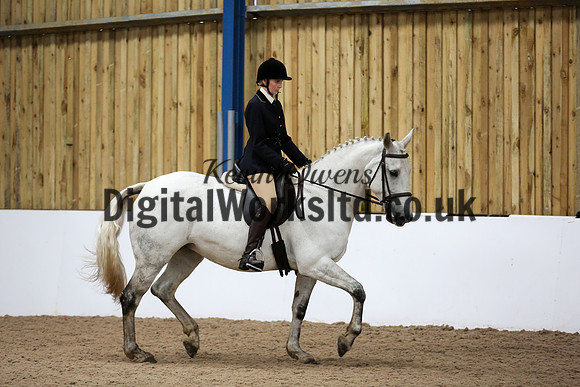 NECWPCA-SUMMER-WELSH-SILVER-MEDAL-SHOW (30 of 315)
