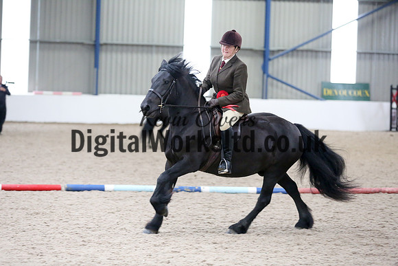 NECWPCA-SUMMER-WELSH-SILVER-MEDAL-SHOW (139 of 315)