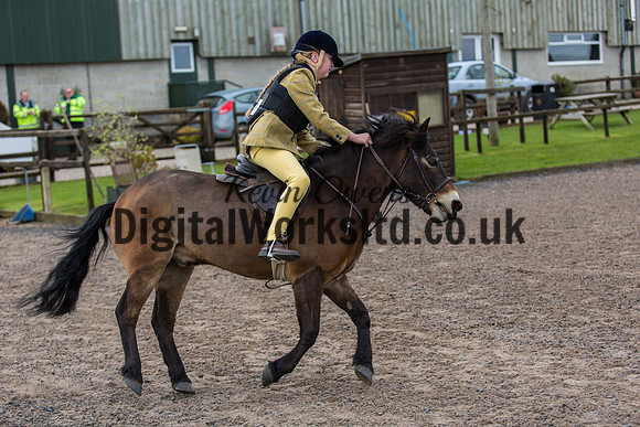 BDH-Point-to-Point-41