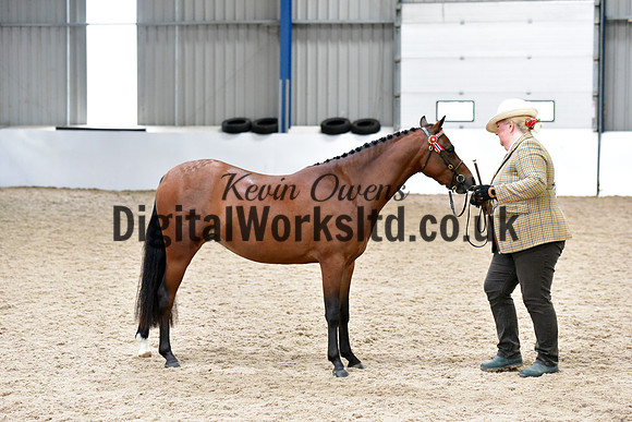 NECWPCA-SUMMER-WELSH-SILVER-MEDAL-SHOW (7 of 61)