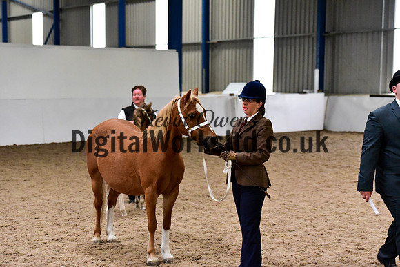 NECWPCA-SUMMER-WELSH-SILVER-MEDAL-SHOW (1 of 134)