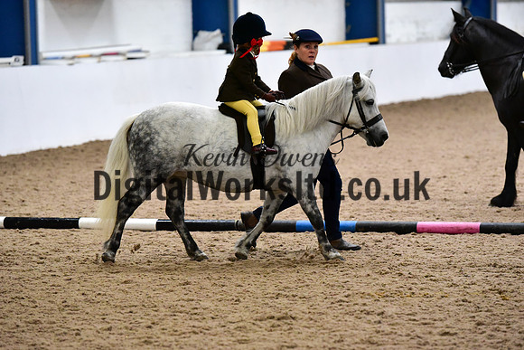 NECWPCA-SUMMER-WELSH-SILVER-MEDAL-SHOW (3 of 135)